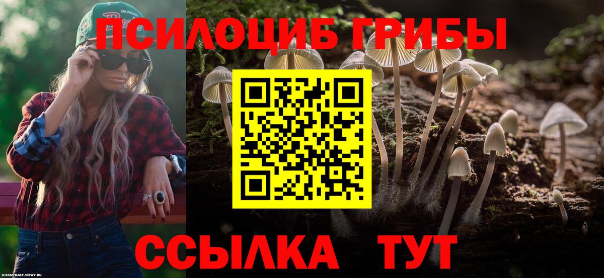 Иркутск  Псилоцибиновые грибы прущие грибы  купить  цена  Вход с VPN 